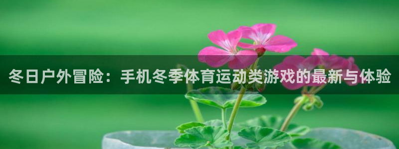 三亿体育：冬日户外冒险：手机冬季体育运动类游戏的最新与体验