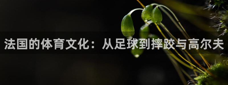 三亿体育网页版：法国的体育文化：从足球到摔跤与高尔夫